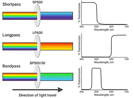 Long Pass Filter vs Short Pass Filter vs Bandpass Filter: The Ultimate Selection Guide